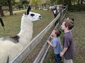 Bluebird Gap Farm