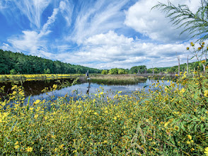 Caledon State Park