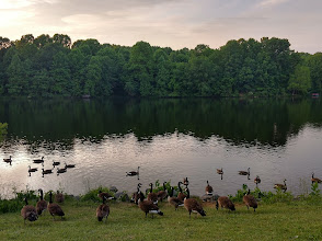 Centennial Park
