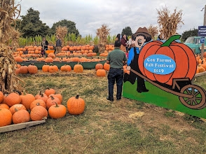 Cox Farms