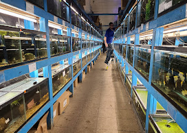 House Of Tropicals