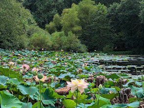 Meadowlark Botanical Gardens