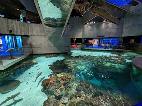 National Aquarium
