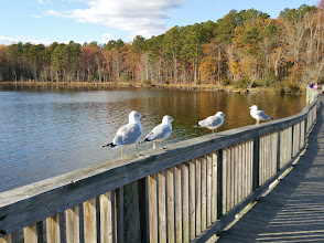 Newport News Park