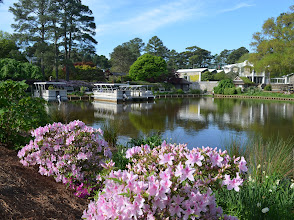 Norfolk Botanical Garden