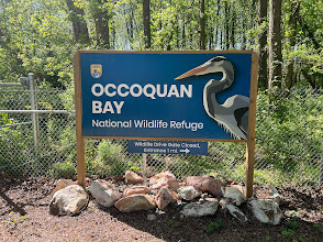 Occoquan Bay National Wildlife Refuge