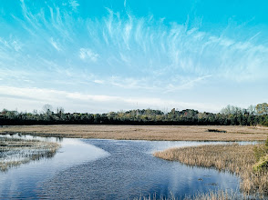 Paradise Creek Nature Park