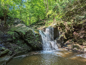 Patapsco Valley State Park - Hollofield Area