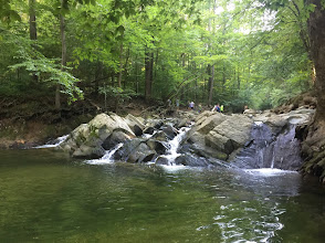 Scott’s Run Nature Preserve