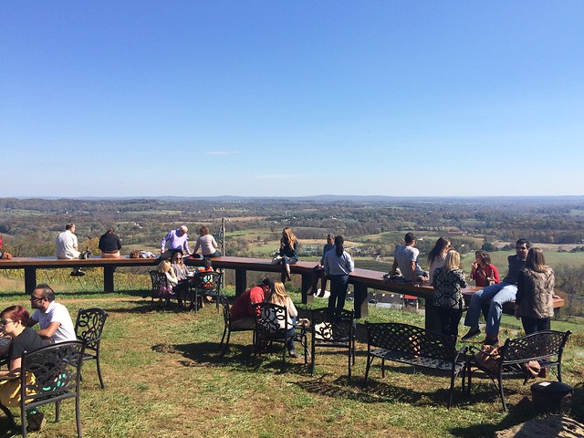 Sunset Hills Vineyard