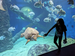 Virginia Aquarium & Marine Science Center